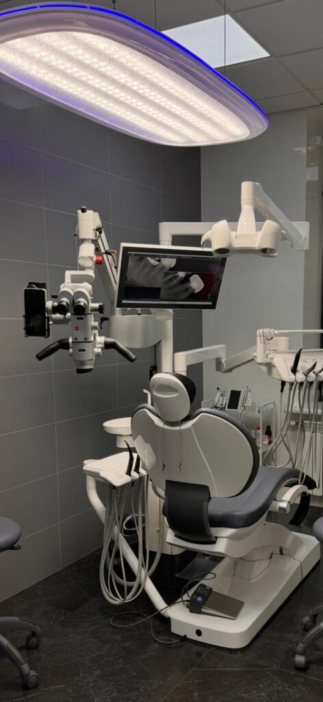 microscope dent anatomiia