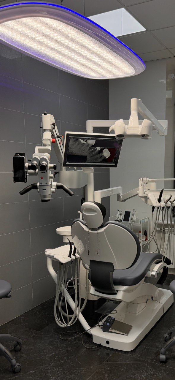 microscope dent anatomiia